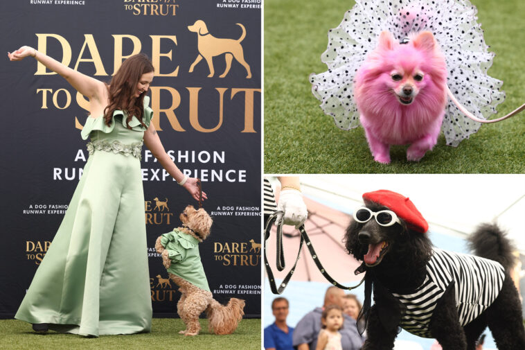 adorable-doggy-fashion-show-‘dare-to-strut’-takes-los-angeles-by-storm