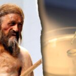 scientists-find-‘signs-of-life’-inside-5,300-year-old-mummy-in-remarkable-discovery