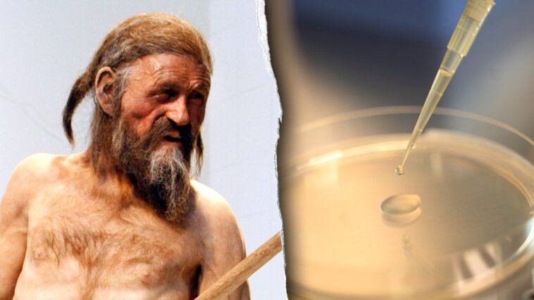 scientists-find-‘signs-of-life’-inside-5,300-year-old-mummy-in-remarkable-discovery