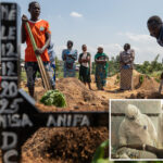 confirmed-ebola-cases-in-congo-outbreak-top-1,000-with-254-deaths
