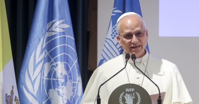 pope-leo-xiv-to-world-food-program:-fighting-hunger-helps-stop-‘forced-migration’