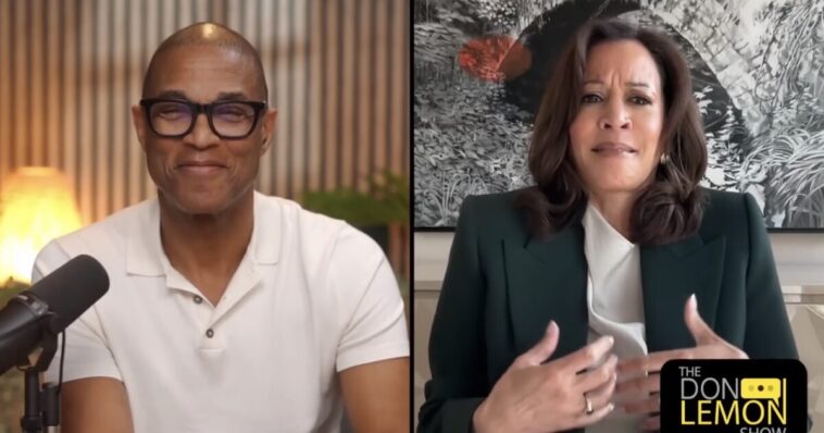 wth?-illiterate-kamala-harris-forgets-“hope”-is-a-verb,-says-hope-“should-be-a-verb”-during-embarrassing-word-salad-on-don-lemon-interview-(video)