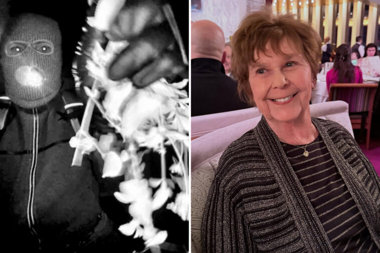 the-two-details-in-nancy-guthrie-ransom-note-that-have-detectives-believing-they-can-crack-the-case