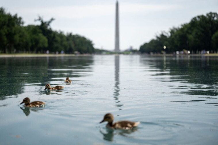 trump-blasts-vandals-for-attacking-reflecting-pool-with-knives,-chemicals
