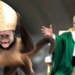 uh-oh!-a-monkey-stole-the-pope-hat-and-now-he’s-infallible