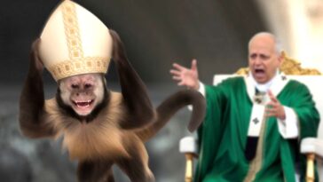 uh-oh!-a-monkey-stole-the-pope-hat-and-now-he’s-infallible