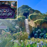 13-year-old-boy-falls-down-waterfall-of-tiana’s-bayou-adventure-at-disneyland