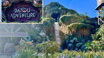 13-year-old-boy-falls-down-waterfall-of-tiana’s-bayou-adventure-at-disneyland