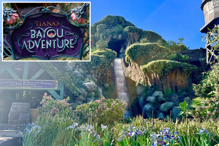 13-year-old-boy-falls-down-waterfall-of-tiana’s-bayou-adventure-at-disneyland