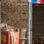 china’s-gruesome-yulin-dog-meat-festival-begins-with-slow-sales,-but-thousands-butchered