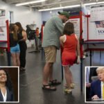 judge-blocks-trump-admin-from-using-federal-database-to-check-citizenship,-warns-of-voter-purge