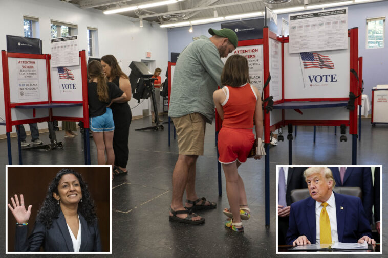 judge-blocks-trump-admin-from-using-federal-database-to-check-citizenship,-warns-of-voter-purge