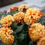 what-scammers-do-the-week-your-spouse-dies
