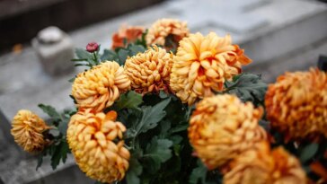 what-scammers-do-the-week-your-spouse-dies