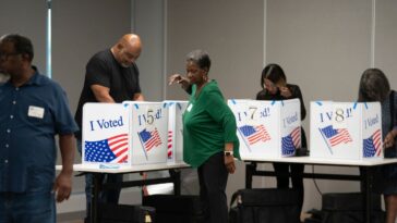 foreign-born-biden-judge-named-‘sparkle’-strikes-down-trump-database-to-purge-illegal-voters-because-it-purges-voters