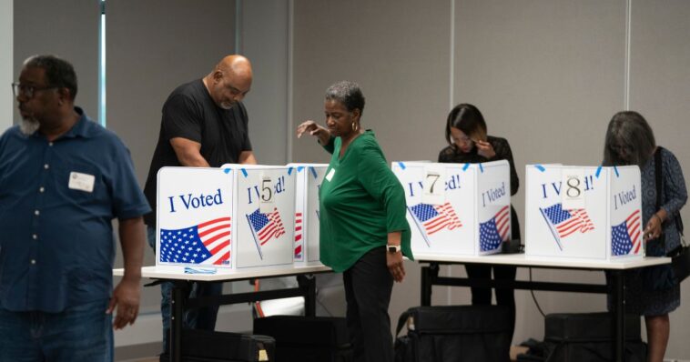 foreign-born-biden-judge-named-‘sparkle’-strikes-down-trump-database-to-purge-illegal-voters-because-it-purges-voters