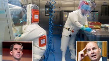 sens.-cotton,-lee-demand-trump-admin-cut-off-chinese-from-national-labs