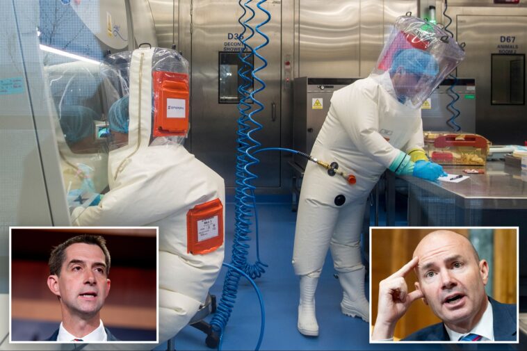 sens.-cotton,-lee-demand-trump-admin-cut-off-chinese-from-national-labs