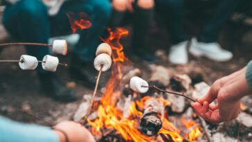 is-your-child’s-summer-camp-safe?