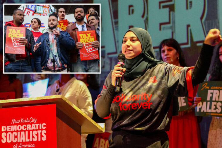 red-alert!-dsa-backing-eight-candidates-in-effort-to-double-ranks-in-nys-government