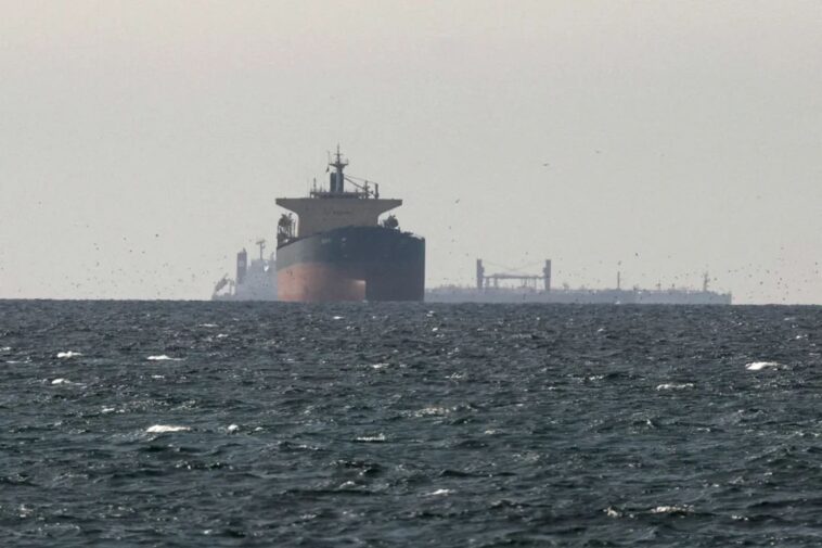 oman,-iran-announce-plan-to-handle-‘costs’-of-navigating-strait-of-hormuz
