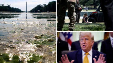 trump-says-algae-filled-reflecting-pool-‘beautiful-as-it-can-be,’-but-will-be-repaired-around-july-4
