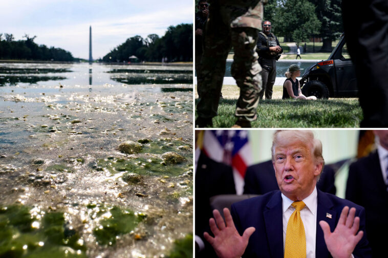 trump-says-algae-filled-reflecting-pool-‘beautiful-as-it-can-be,’-but-will-be-repaired-around-july-4