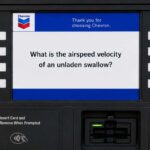 gas-pump-now-asks-if-you-want-car-wash,-receipt,-rewards,-and-if-you-know-the-airspeed-velocity-of-an-unladen-swallow