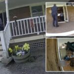video-shows-ny-cops-stop-maniac-son-in-his-tracks-as-he-stabs-mom-40-times-in-zombie-like-trance