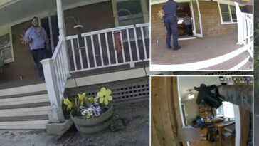 video-shows-ny-cops-stop-maniac-son-in-his-tracks-as-he-stabs-mom-40-times-in-zombie-like-trance