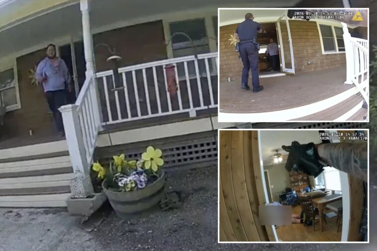 video-shows-ny-cops-stop-maniac-son-in-his-tracks-as-he-stabs-mom-40-times-in-zombie-like-trance