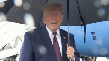 trump-says-iran-is-lying-after-claiming-they-didn’t-agree-to-nuclear-inspectors-–-“they’re-wrong.-they-know-they’re-wrong!”-(video)