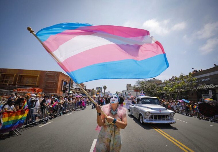radical-bill-will-make-it-easier-for-‘trans’-kids-to-cut-legal-ties-with-parents