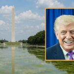 4d-chess:-trump-makes-reflecting-pool-even-swampier-so-it-will-reflect-dc.-more-accurately