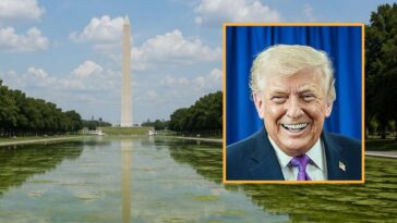4d-chess:-trump-makes-reflecting-pool-even-swampier-so-it-will-reflect-dc.-more-accurately