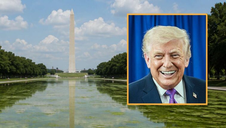 4d-chess:-trump-makes-reflecting-pool-even-swampier-so-it-will-reflect-dc.-more-accurately