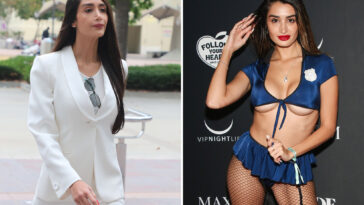 penthouse-pet-is-caught-breaking-the-law-again-—-but-soft-judge-lets-her-off