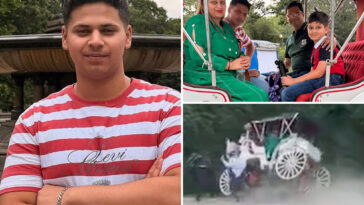teen-killed-in-central-park-horse-carriage-crash-was-all-smiles-moments-before-death:-video