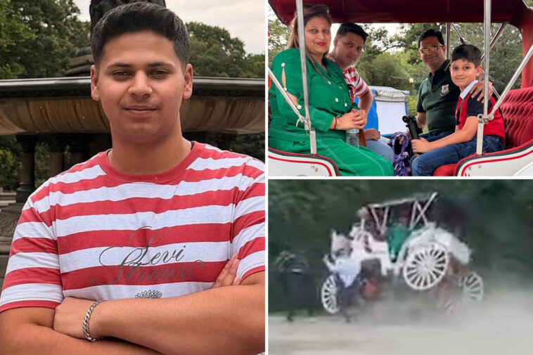 teen-killed-in-central-park-horse-carriage-crash-was-all-smiles-moments-before-death:-video