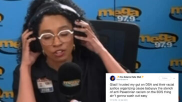 dsa-backed-house-candidate-darializa-avila-chevalier-storms-out-of-radio-interview-when-questioned-about-old-social-media-posts
