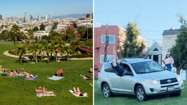 24-year-old’s-park-rampage-in-suv-ends-in-cuffs-after-citywide-chase