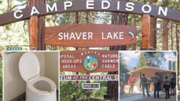 sunglasses-rescue-goes-horribly-wrong-as-camper-plunges-into-california-vault-toilet-tank