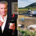 inside-gavin-newsom’s-hidden-wine-empire-as-filings-expose-insane-earnings