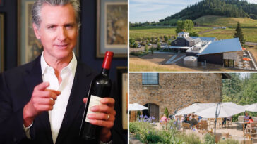 inside-gavin-newsom’s-hidden-wine-empire-as-filings-expose-insane-earnings