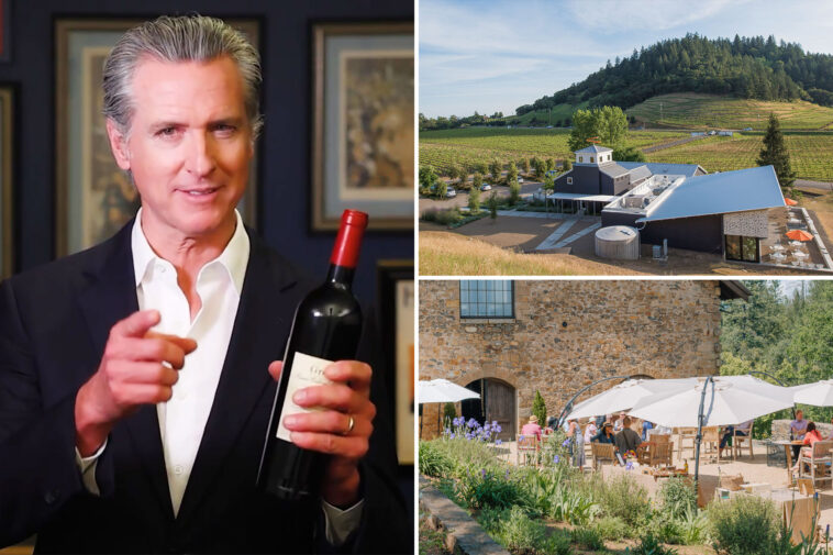 inside-gavin-newsom’s-hidden-wine-empire-as-filings-expose-insane-earnings