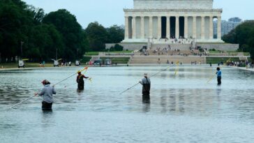 cnn,-ms-now-do-hours-of-coverage-on-covering-reflecting-pool-drama