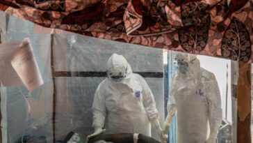 french-health-ministry-confirms-doctor-who-worked-in-congo-infected-with-ebola-virus