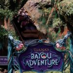 the-split-second-decision-that-sent-a-teen-over-a-disney-ride-drop
