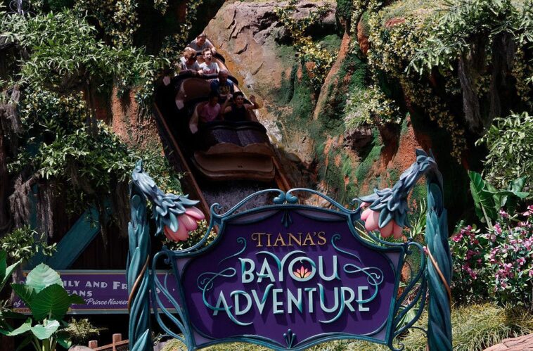 the-split-second-decision-that-sent-a-teen-over-a-disney-ride-drop