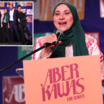 mamdani-backed-ny-state-senate-candidate-who-downplayed-9/11-wins-nyc-primary